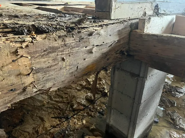 Wood rot on a crawl space beam that needs framing repair.
