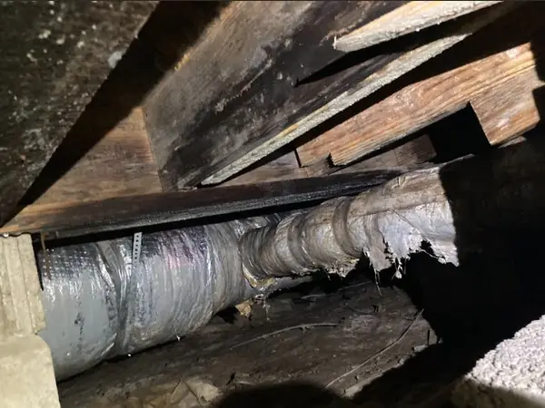 Mold growth and water damage on wooden beams in a musty crawl space.