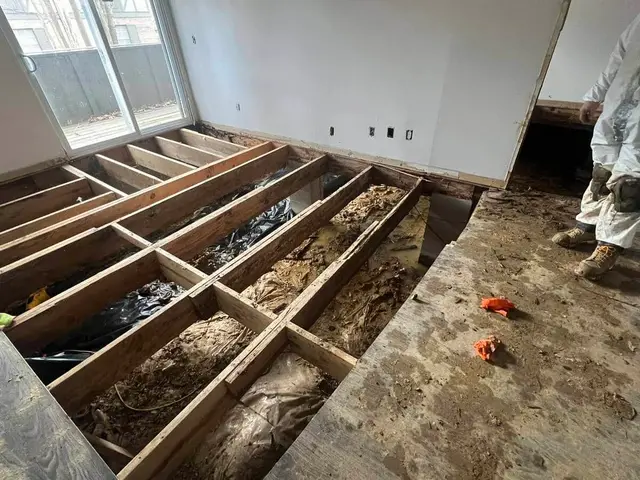 Ground Up Foundation Repair, Waterproofing and Concrete Leveling assessing severe basement flooding with exposed floor joists