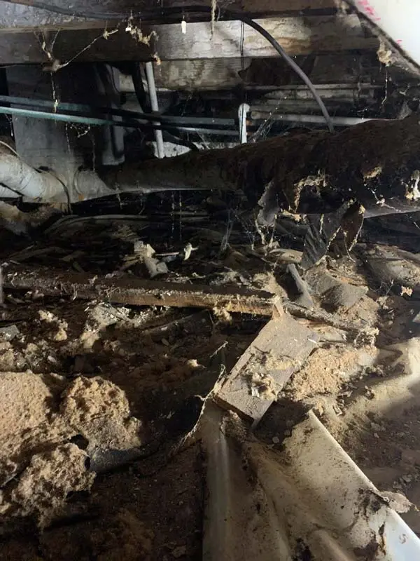 Severe wood rot and rotting floor joists found in a damaged crawl space.