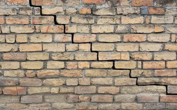 Inspecting a stair-step crack in a brick foundation.