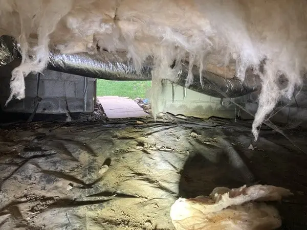 Ground Up Foundation Repair, Waterproofing and Concrete Leveling inspecting deteriorating insulation and moisture in a crawl