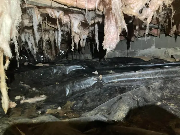 Fallen insulation and debris in a crawl space before cleaning and removal.