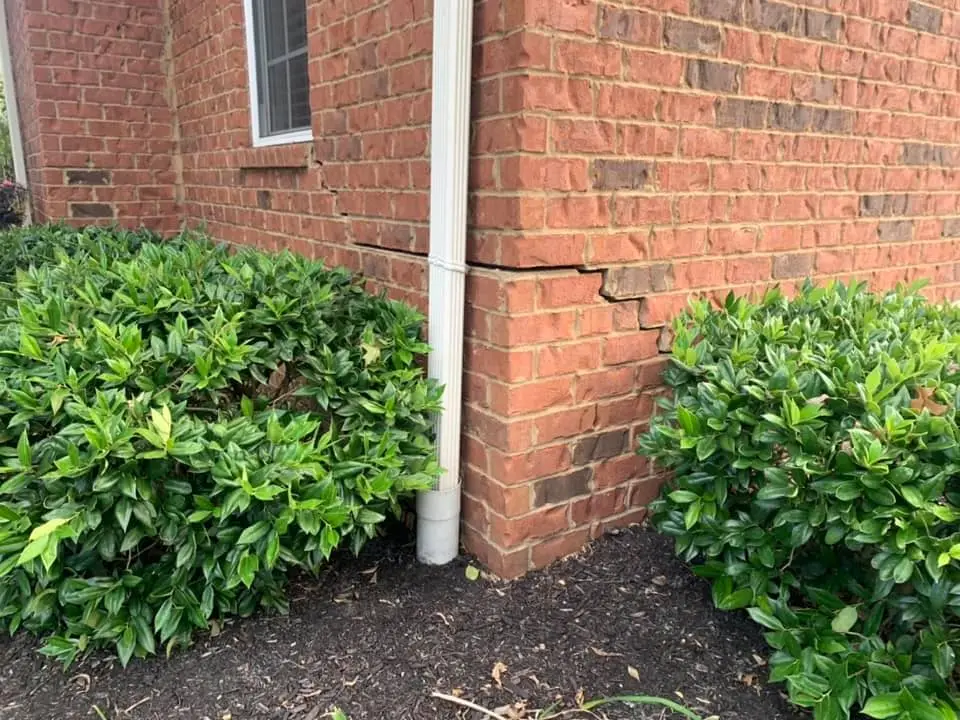 Inspecting stair-step cracks in an exterior brick foundation.
