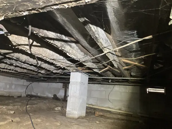 Ground Up Foundation Repair, Waterproofing and Concrete Leveling inspecting damaged wood joists, mold, and old insulation
