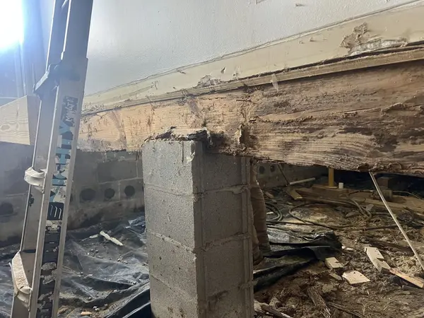 Ground Up Foundation Repair, Waterproofing and Concrete Leveling inspecting severe wood rot and structural damage to a crawl