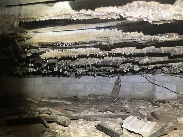 Heavy mold growth on crawl space floor joists before remediation.