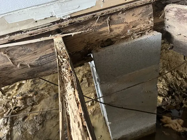 Ground Up Foundation Repair, Waterproofing and Concrete Leveling inspecting severe rotted floor joists in a damp crawl space.