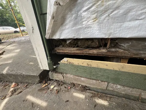 Ground Up Foundation Repair, Waterproofing and Concrete Leveling inspecting rotted wood and damaged sill plate near house