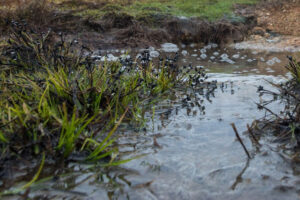 Ground Up Foundation Repair n fix issues wit water pooling in your yard.