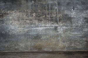 Basement mold and mildew can ruin a home. Contact Ground Up Foundation Repair for solutions.
