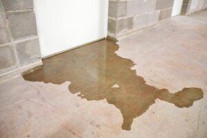 Interior Waterproofing Services in Nashville, TN