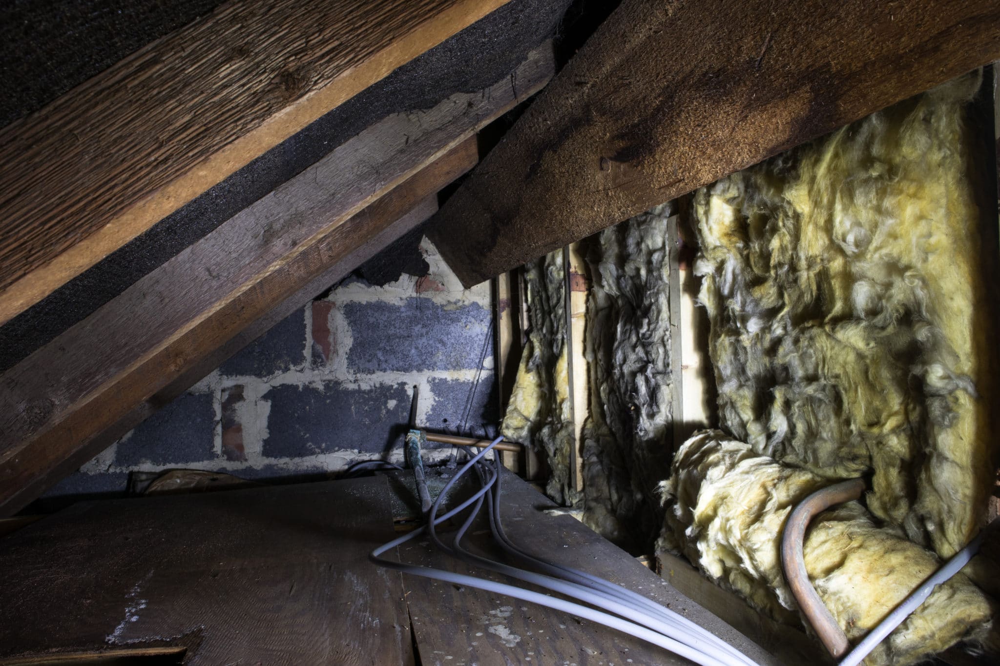 5 Reasons for Mold in Crawl Space